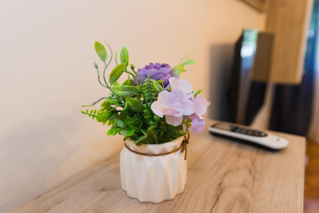 Apartman Studio Blue سوبوتيتْسا المظهر الخارجي الصورة